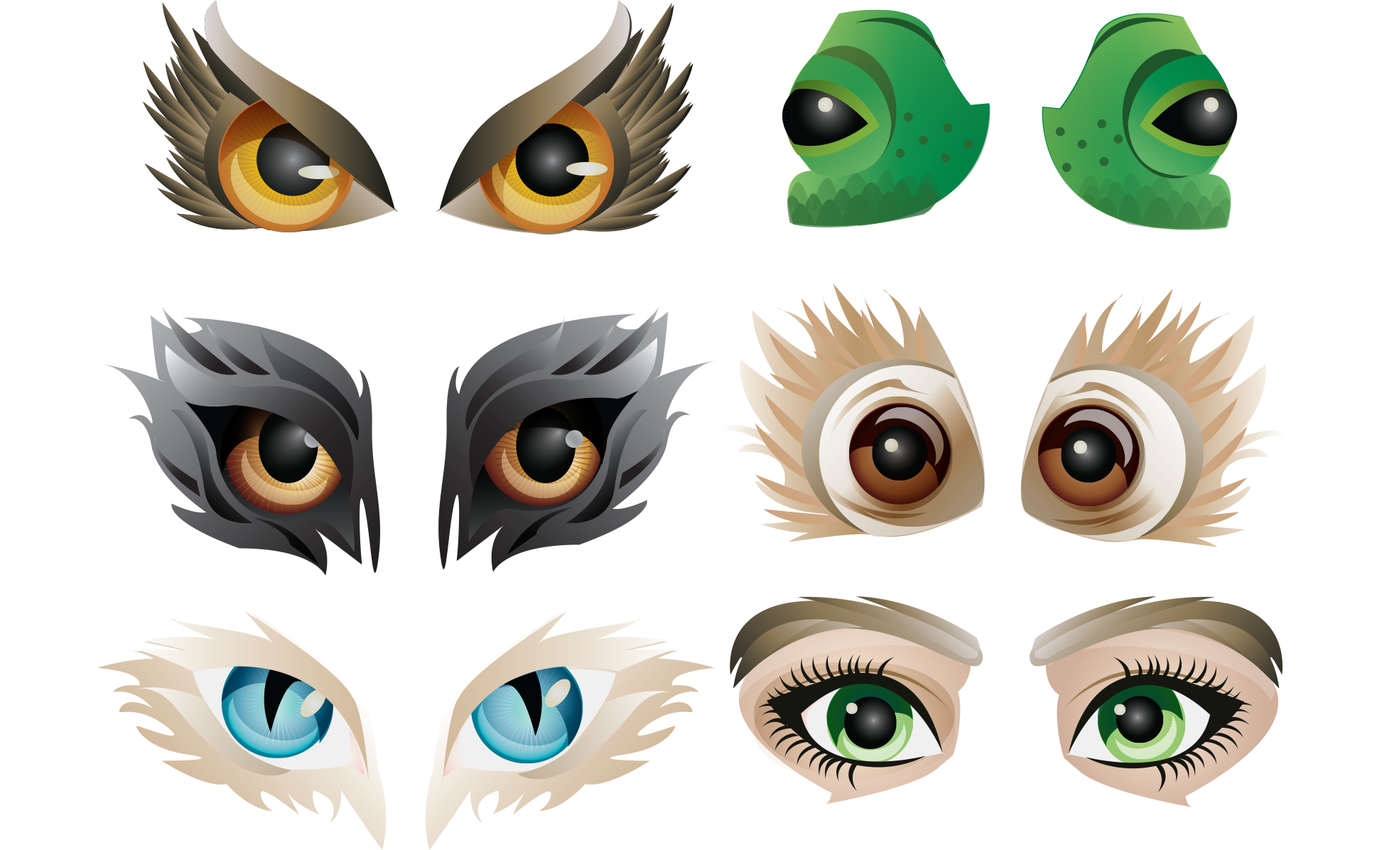 eye-illustrations